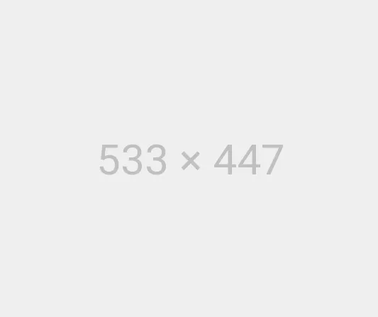 demo5-ct-img1